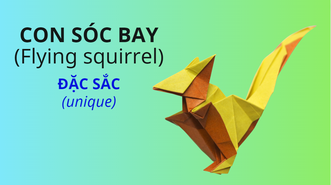 Video 25: Con sóc bay - The Art of Paper Folding: Flying Squirrel